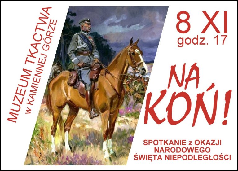 plakat-na-kon